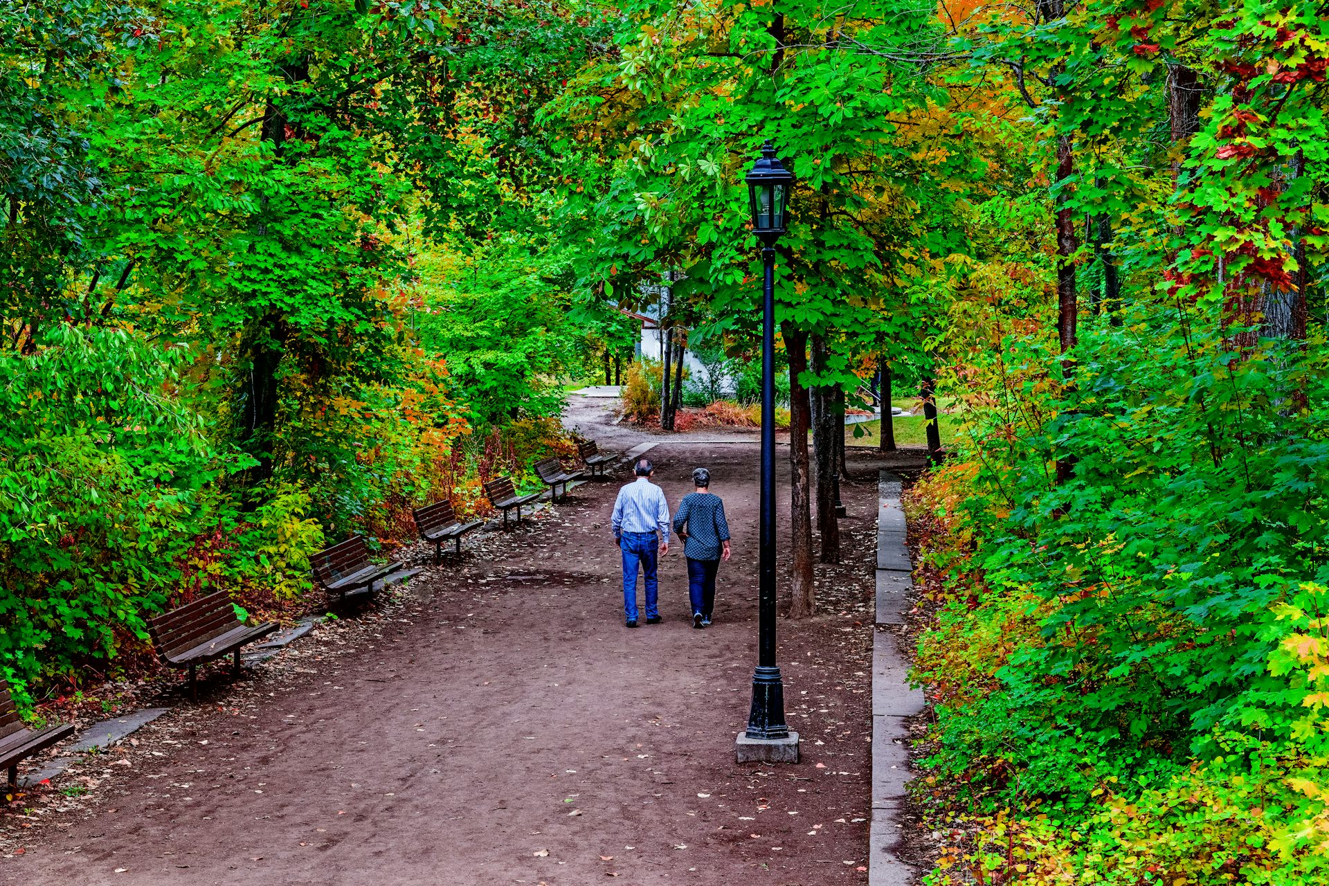 couple walking past benches along a tree-lined path